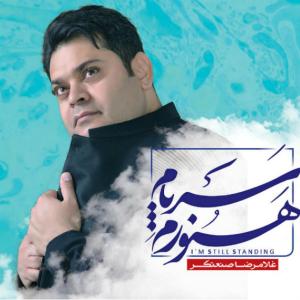   غلامرضا صنعتگر