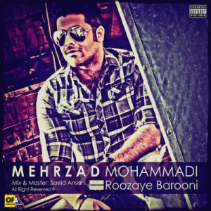   مهرزاد محمدی