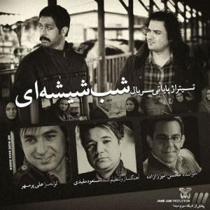   محسن میرزازاده