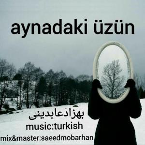   بهزاد عابدینی