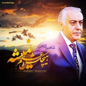   شاهین کلاهی