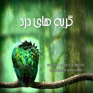   فرشید حسینی