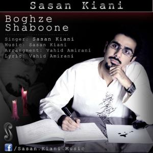   ساسان کیانی