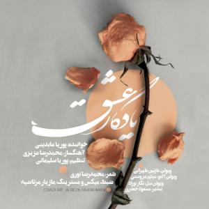   پوریا عابدینی