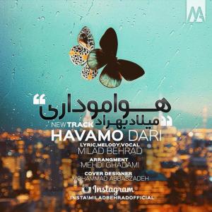   میلاد بهراد