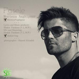   مرتضی نقی پور