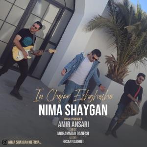   نیما شایگان