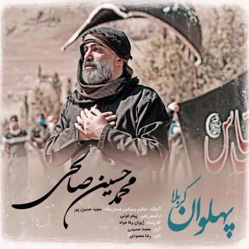   محمد حسین صالحی