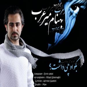   بهنام میر عرب