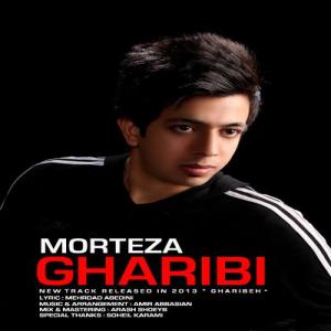   مرتضی غریبی