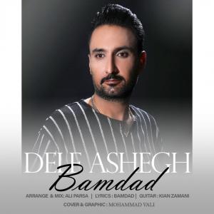   بامداد شکری