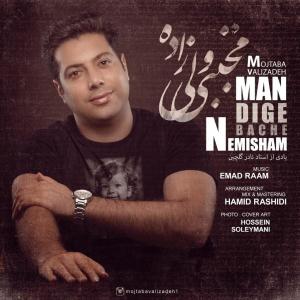   مجتبی ولی زاده