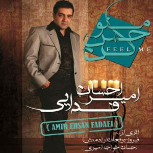   ایرج و امیر احسان فدایی