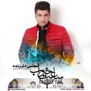   مجتبی دل زنده