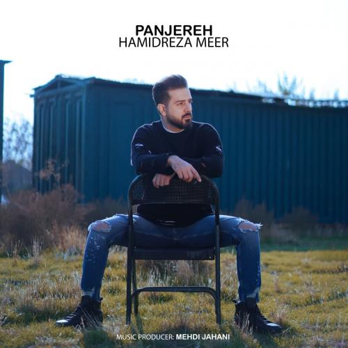   حمیدرضا میر