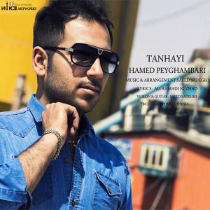   حامد پیغمبری