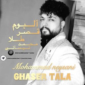   محمد نیسانی