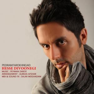   میلاد پوراحمد و پدرام فرخ نژاد