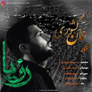   پیمان کشوری