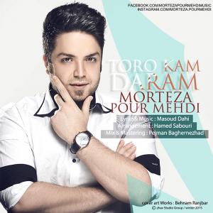   مرتضی پور مهدی