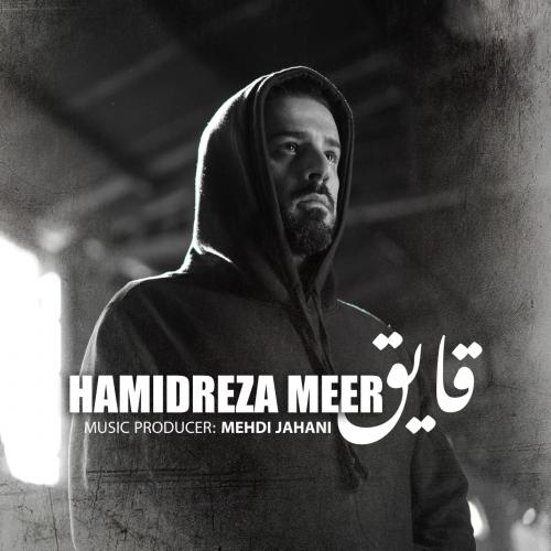   حمیدرضا میر