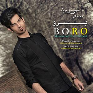   محمدرضا عیسی وند