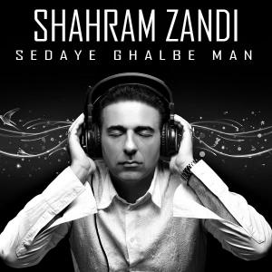   شهرام زندی
