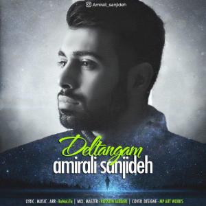   امیرعلی سنجیده