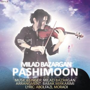   میلاد بازرگان