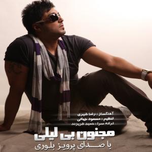   پرویز بلوری