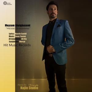   میثم ابوالقاسمی