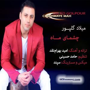   میلاد گلپور