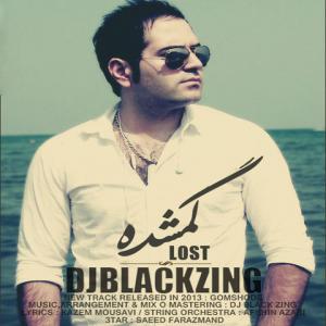   دی جی بلک زینگ