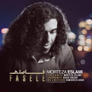   مرتضی اسلامی