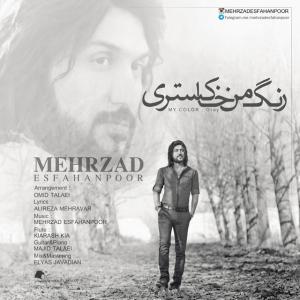   مهرزاد اصفهان پور