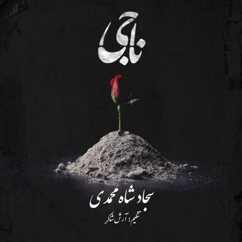   سجاد شاه محمدی