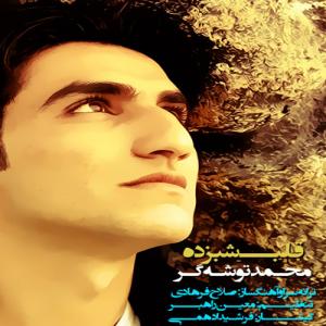   محمد توشه گر