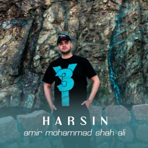   امیر محمد شاه علی