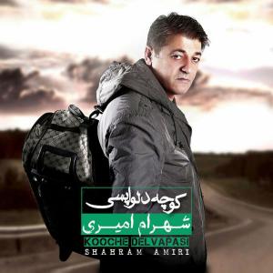   شهرام امیری