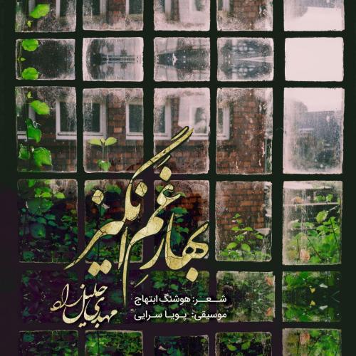   مهدی جلیل زاد