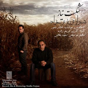   افشار نامور