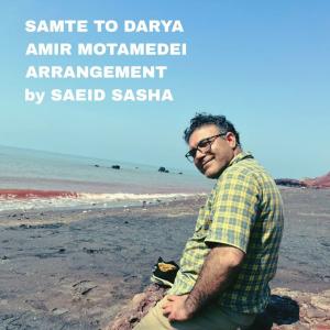   امیر معتمدی