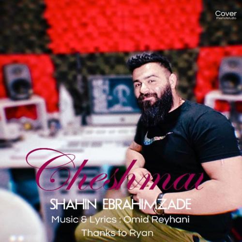   شاهین ابراهیم زاده