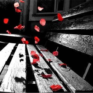   حمید تهرانی