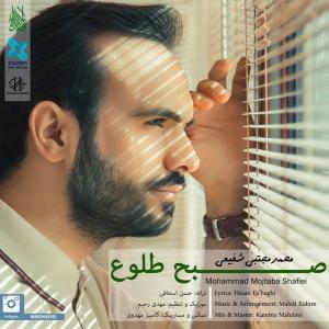   محمد مجتبی شفیعی