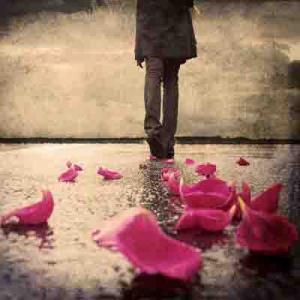   احمد نوبهاری