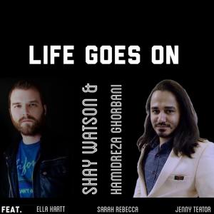   حمید رضا قربانی