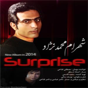   شهرام محمد نژاد