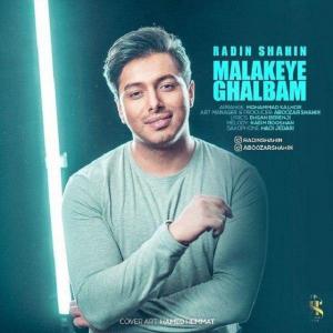   رادین شاهین