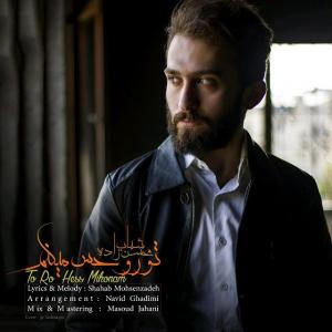   شهاب محسن زاده